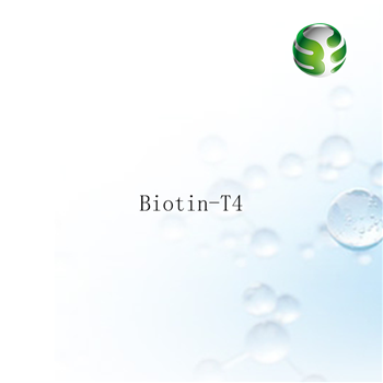 Biotin-T4